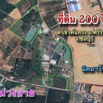 ขายที่ดิน 200 ไร่ ผังสีม่วงลาย เขาคันทรง ศรีราชา ชลบุรี