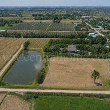 ขายด่วน ที่ดิน 9-3-99.5 ไร่ ดอนโพธิ์ - สุพรรณบุรี มีผู้เช่า ทำเลดี