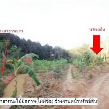 ที่ดินว่างเปล่า สะเดา-สงขลา ถ.บ้านระตะ ต.เขามีเกียรติ อ.สะเดา จ.สงขลา