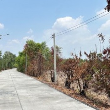 ขายที่ดินทำเลดี 30 ไร่ เจ้าของขายเอง  อยู่ที่หมู่บ้านไทรงาม ตำบลโพธิ์งาม อำเภอประจันตคาม จังหวัดปราจ
