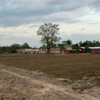 ขายที่ดิน เจ้าของขายเอง 16 ไร่ 1 งาน 94 ตรว.  นครพนม