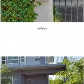 ขาย บ้านเดี่ยว โครงการเพอร์เฟคพาร์ค กรุงเทพกรีฑา-รามคำแหง กรุงเทพมหานคร