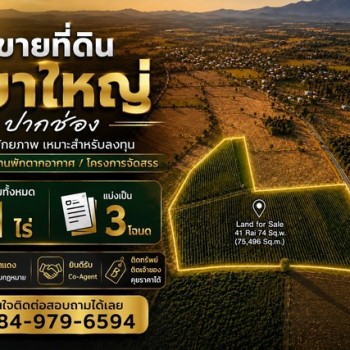 ขาย ดิน 41 ไร่  เขาใหญ่ อำเภอปากช่อง จังหวัดนครราชสีมา