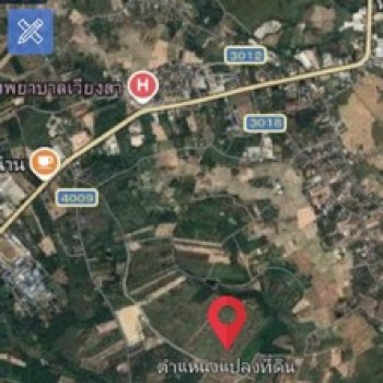 ขายที่ดินพร้อมสวนต้นสัก อำเภอเวียงสา จังหวัดน่าน เนื้อที่ 31 ไร่