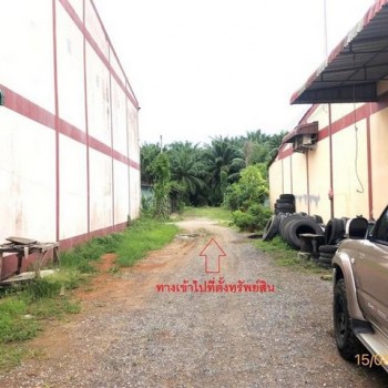 ขายที่ดินสุราษฎร์ธานี ถนนสายสุราษฎร์ธานี - หลังสวน อำเภอท่าชนะ