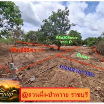ขายที่ดิน 205 ตารางวา (นส.3ก.รอเดินสำรวจเอาโฉนด)ทำเลสวย อำเภอสวนผึ้ง จังหวัดราชบุรี