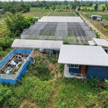 ที่ดินพร้อมสิ่งปลูกสร้าง 4-0-69.6 ไร่ ไทรน้อย ทำเลดี