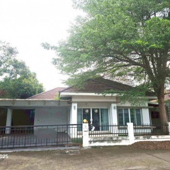 ขายบ้านเดี่ยว เนเจอร์ วิลล์ บ้าน-กอก ตำบล บ้านเป็ด เมืองขอนแก่น