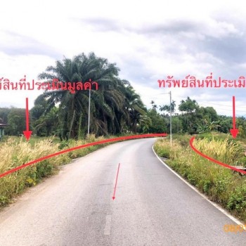 ขายบ้านเดี่ยวสุราษฎร์ธานี อำเภอเวียงสระ   ถนนเลียบคลองชลประทาน