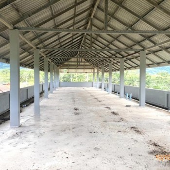 ขายอาคารพักอาศัย 3 ชั้น สุราษฎร์ธานี ถนนสายบ้านใน - ดอนสัก   ราคาโปรโมชั่น