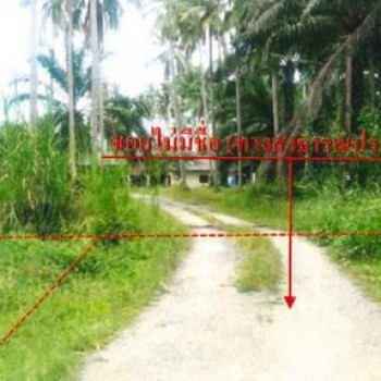ขายบ้านเดี่ยวสุราษฎร์ธานี  อำเภอไชยา  ถนนสายไชยา - ปากหมาก