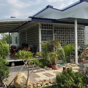 ขาย ที่ดิน ท่ายาง เพชรบุรี สถานที่ใกล้ มหาวิทยาลัยศิลปากร วิทยาเขตสารสนเทศเพชรบุรี 5 ไร่ 1 งาน 87 ตร