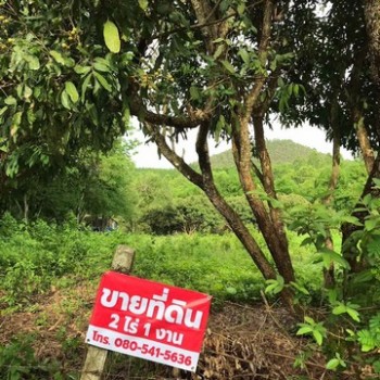 ขายที่ดิน 2 ไร่ 3 งาน ตารางวาละ 1500  บ้าน ดอนเจริญ ตำบลดอยลาน เมืองเชียงราย