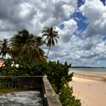 มองการณ์ไกลเล็งซื้อที่เก็บดั่งซื้อทอง ปะทิวใกล้หาดสวยทุ่งวัวแล่น ขายที่ดินติดทะเลวิวหลักล้านแปลงเล็ก