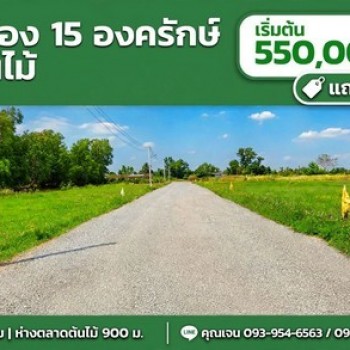 ขายที่ดินตลาดต้นไม้คลอง15 องครักษ์ 100 ตรว เจ้าของขายเอง เหมาะปลูกบ้านสวน