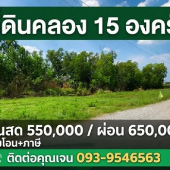 ขายที่ดินคลอง15 องครักษ์ ตลาดต้นไม้ เจ้าของขายเอง ขายเงินสด เงินผ่อน แถมถมให้ฟรี