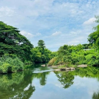ขายที่ดินติดแม่น้ำนครนายก ล่องแก่งได้ บรรยากาศธรรมชาติ วิวเขา เริ่มต้นเพียง 5 ล้านบาทเท่านั้น ต.สาริ