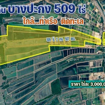 ขายด่วน ที่ดินบางปะกง แปลงใหญ่ 508 ไร่ ติดทะเล.ติด ถ.สุขุมวิท  ต.บางปะกง อ.บางปะกง จ.ฉะเชิงเทรา