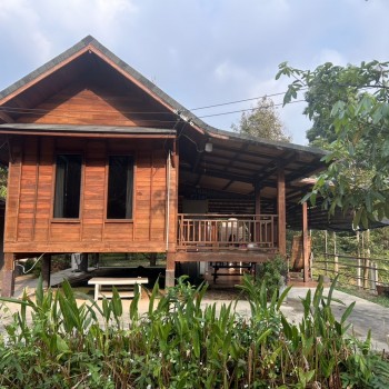 ขายที่ดิน สวนทุเรียน ทำเลดี อ.เมือง จ.ปราจีนบุรี