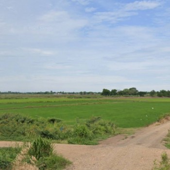 Vาย ที่ดิน 24 ไร่ จ. พระนครศรีอยุธยา ไร่ละ 300,000 บ. ต. บ้านขวาง ต. น้ำเต้า อ. มหาราช (ใกล้ แยกเจ้า