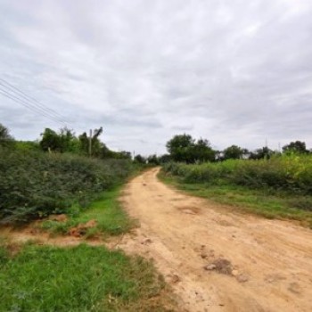 ขายที่ดินบ้านโพธิ์ฉะเชิงเทรา ที่ดินเนื้อที่รวมทั้งหมด 184-1-85 ไร่ (มีทั้งหมด 4 แปลง)