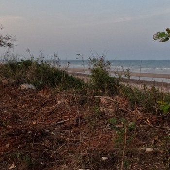 แนะนำซื้อขายอสังหาดีดี ที่ติดทะเลหาดผาแดงฝั่งแดง ประจวบ  ดูแลหลังการขาย  โฉนดพร้อมโอน บางสะพานน้อยที