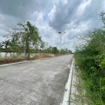 ขายที่ดินถมแล้วพร้อมสร้าง  409 ตร.ว. ทำเลดี บางนา-ตราด ใกล้สุวรรณภูมิ