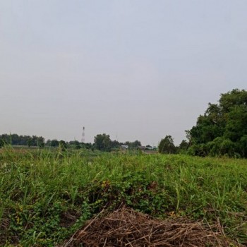 แนะนำซื้อขายอสังหาดีดี ขาย ที่ดินติดแม่น้ำน่าน ที่สวยติดแม่น้ำน่าน ชุมแสง  จ.นครสวรรค์