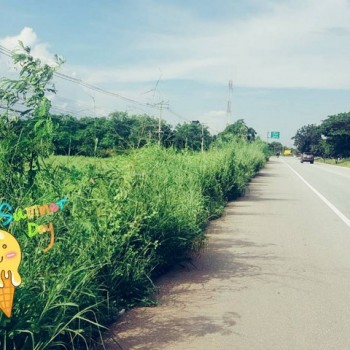 แนะนำซื้อขายอสังหาดีดี ที่ทำเลหลักล้านติดถนนพหลโยธิน เอเซีย AH1ที่ดินทำเลดีบ้านตากจังหวัดตาก