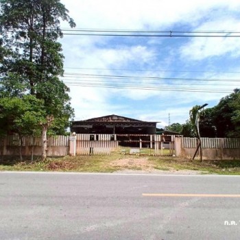 ขายโกดังชั้นเดียว ลำพูน ตำบลหนองยวง อำเภอเวียงหนองล่อง