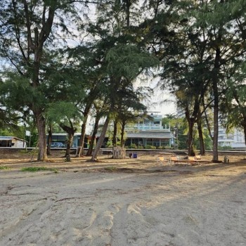 ขายรีสอร์ ติดหาดแม่รำพึง ติดชายหาด บ้านเพ จ.ระยอง พร้อมสิทธ์ทำกินหน้าชายหาด ขายราคาประเมิน