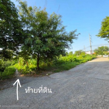 ขายที่ดินปทุมธานี แปลงมุม อำเภอเมือง ถนนปทุมธานีสายใน