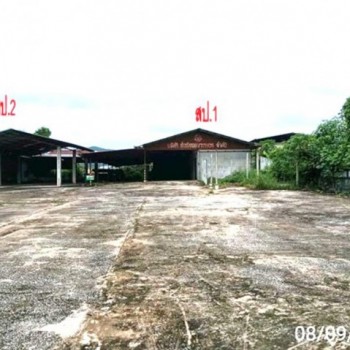 ขายโกดัง เลย ถนน สายเลย - เชียงคาน ตำบลนาอ้อ อำเภอเมืองเลย