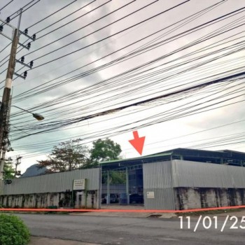 ขายโรงงาน นครศรีธรรมราช ถนน สายขนอม - ปากน้ำ ตำบล ท้องเนียน อำเภอ ขนอม จังหวัด นครศรีธรรมราช