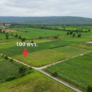 1 ขาย ที่ดิน ถูกสุด ที่วิวเขา ติดถนนคอนกรีต1แสนบาท 100ตรว. วังเพลิน โคกสำโรง ลพบุรี T .086-301-6161 