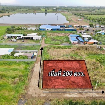 1 ขาย ที่ดิน ที่ดินใกล้กรุงฯ คลอง9หนองเสือ ใกล้ชุมชน 200ตรว. เพียง 7.5แสนเท่านั้น  ปทุมธานี To86-3ol