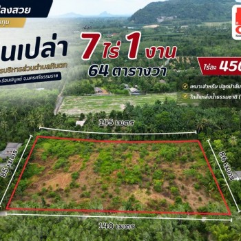 ที่ดินแปลงสวย เนื้อที่ 7 ไร่ 1 งาน 64 ตารางวา อ.ร่อนพิบูลย์