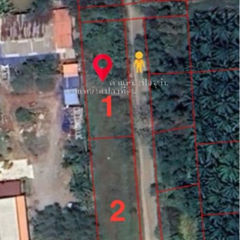 ขายที่ดินเปล่ามีโฉนด ติดถนนทำเลดี ท่าทองใหม่ สุราษฎร์ธานี