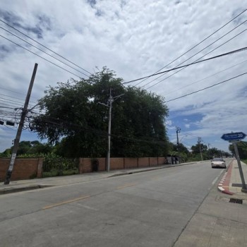 2342 ขาย ที่ดิน ที่ดิน ทวีวัฒนา-กาญจนาภิเษก ชั้นทั้งหมด 1 ชั้น กรุงเทพ ตลิ่งชัน    118320000 บาท