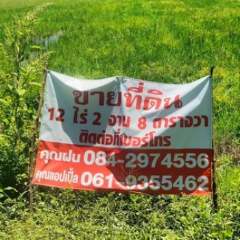 ขายที่ดิน ขายที่ดินแปลงสวย ตำบล บ้านโปร่ง จังหวัด สระบุรี