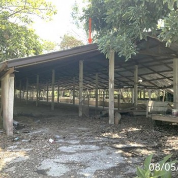ขายโกดัง เชียงราย ถนนสายบ้านเวียงเดิมบ้านไตรแก้ว อำเภอเวียงชัย