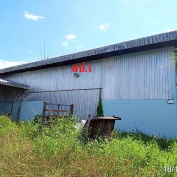 ขายโกดังเชียงใหม่ ถนน บ้านม่วงถ้อย ตำบลป่าไหน่ อำเภอพร้าว