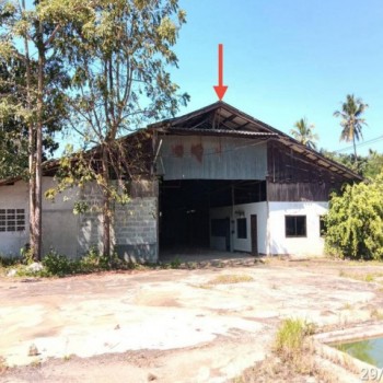 ขายโรงงาน แพร่ ถนน สายบ้านนาปลากั้ง - บ้านวังลึก ตำบล นาพูน อำเภอ วังชิ้น จังหวัด แพร่