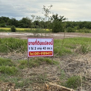 ขายที่ดินถมแล้ว ทำเลดี ติดถนนซอย 2 ฝั่ง พระนครศรีอยุธยา