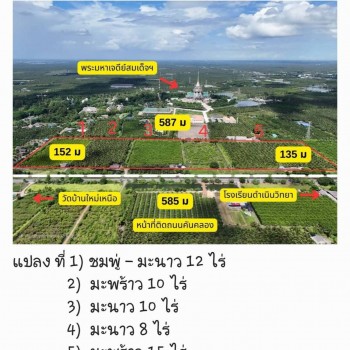 ขายที่ดินสวน  ติดหลังวัดหลวงพ่อสด ด้านหน้าติดถนนคลองชลประทาน อำเภอดำเนินสะดวก จังหวัดราชบุรี