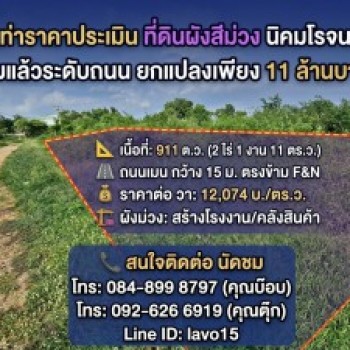 #ขายถูกเท่าราคาประเมิน ที่ดินผังสีม่วง 911 ตร.ว. นิคมโรจนะ 2 อยุธยา✨