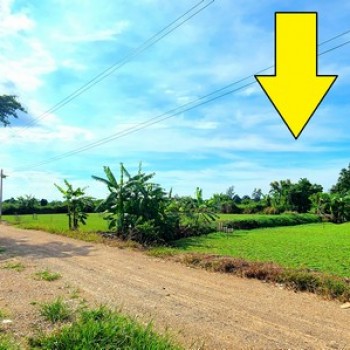 ขายที่ดิน คลอง 12 หนองเสือ 200 ตรว ติดถนน 8 ม. เหมาะปลูกบ้านสวน ทำเกษตรพอเพียงได้ ทำโกดัง อยู่ใกล้แห