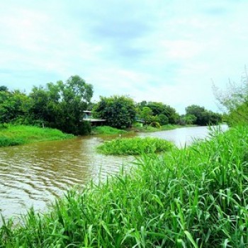 ขายที่ดินติดคลอง 1 ไร่กว่า องครักษ์ คลอง 25 หลัง มศว หน้าน้ำวิวสวย ด้านหน้าติดถนนคอนกรีต เหมาะปลูกบ้