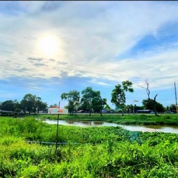 ขายที่ดิน 1 ไร่ ติดคลองรังสิต-นครนายก คลอง14 ใกล้กับมหาวิทยาลัยนานาชาติเซนต์เทเรซา ติดถนนลาดยาง บรรย