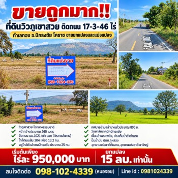 ขายถูกมาก!! ที่ดินวิวภูเขาสวย ติดถนน 17-3-46 ไร่ ทำเลทอง อ.ปักธงชัย โคราช ขายยกแปลงและแบ่งแปลง